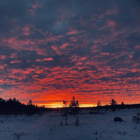Pasvik Taiga Hotel Skogfoss Kültér fotó