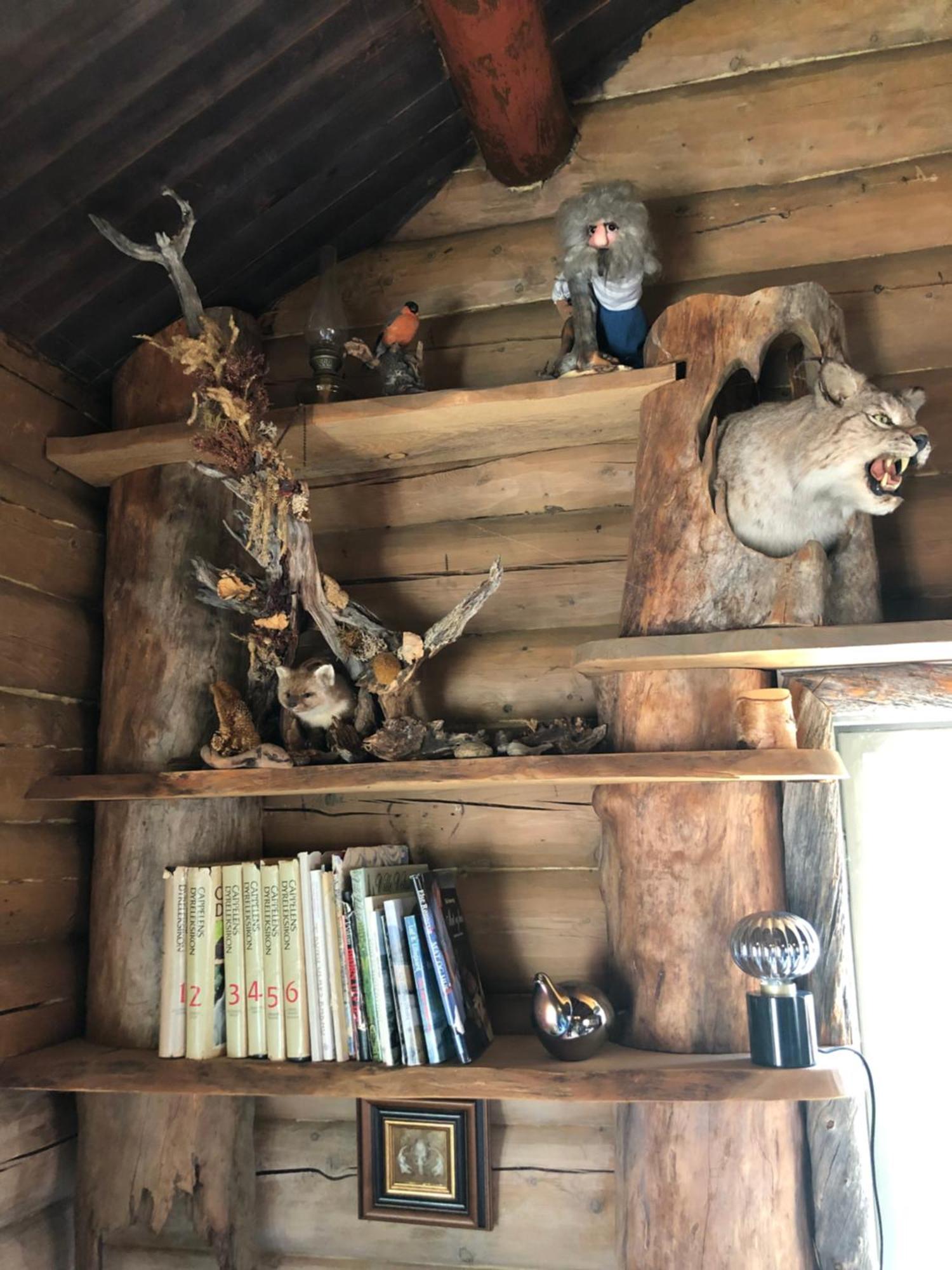 Pasvik Taiga Hotel Skogfoss Kültér fotó