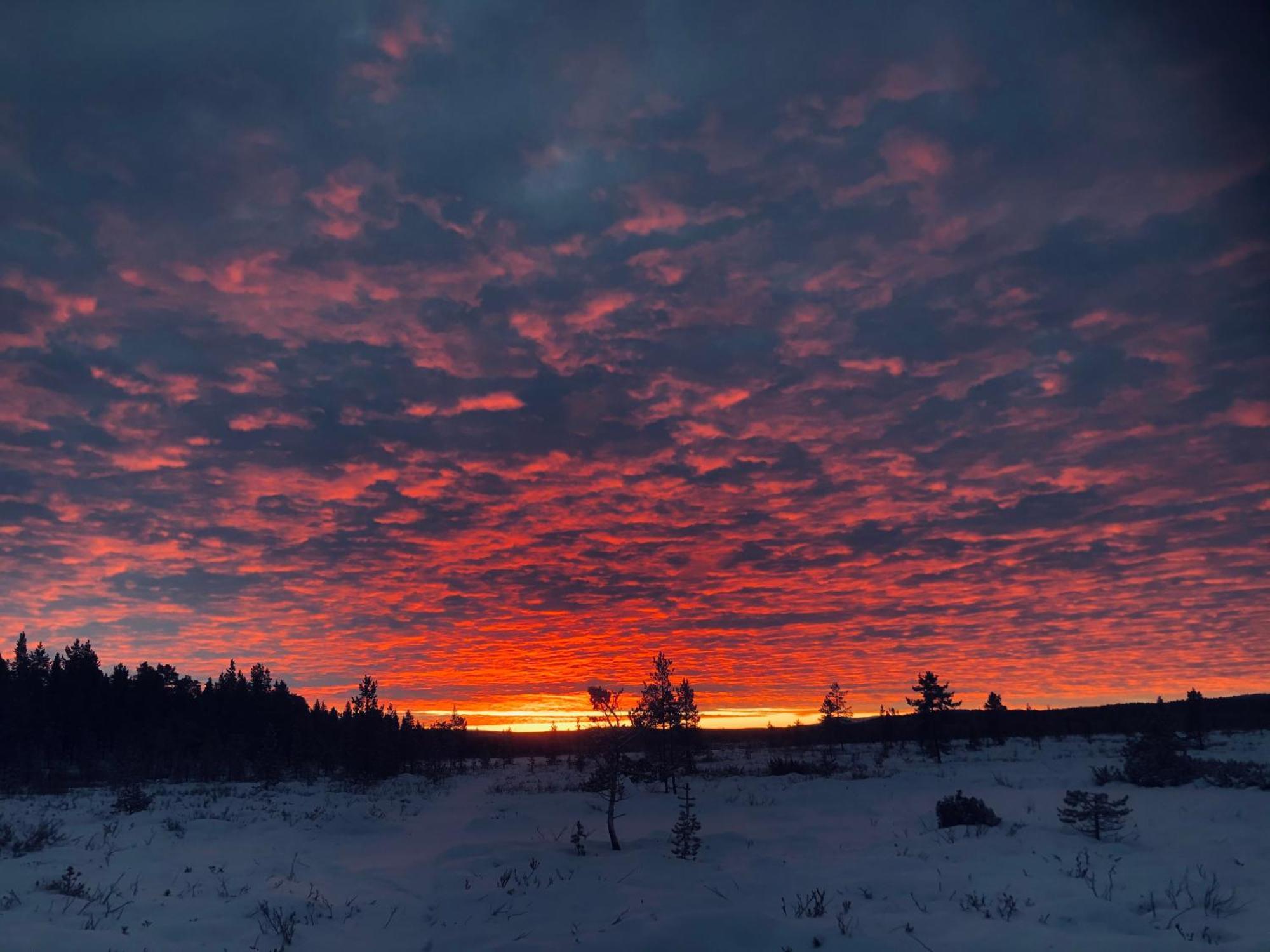Pasvik Taiga Hotel Skogfoss Kültér fotó
