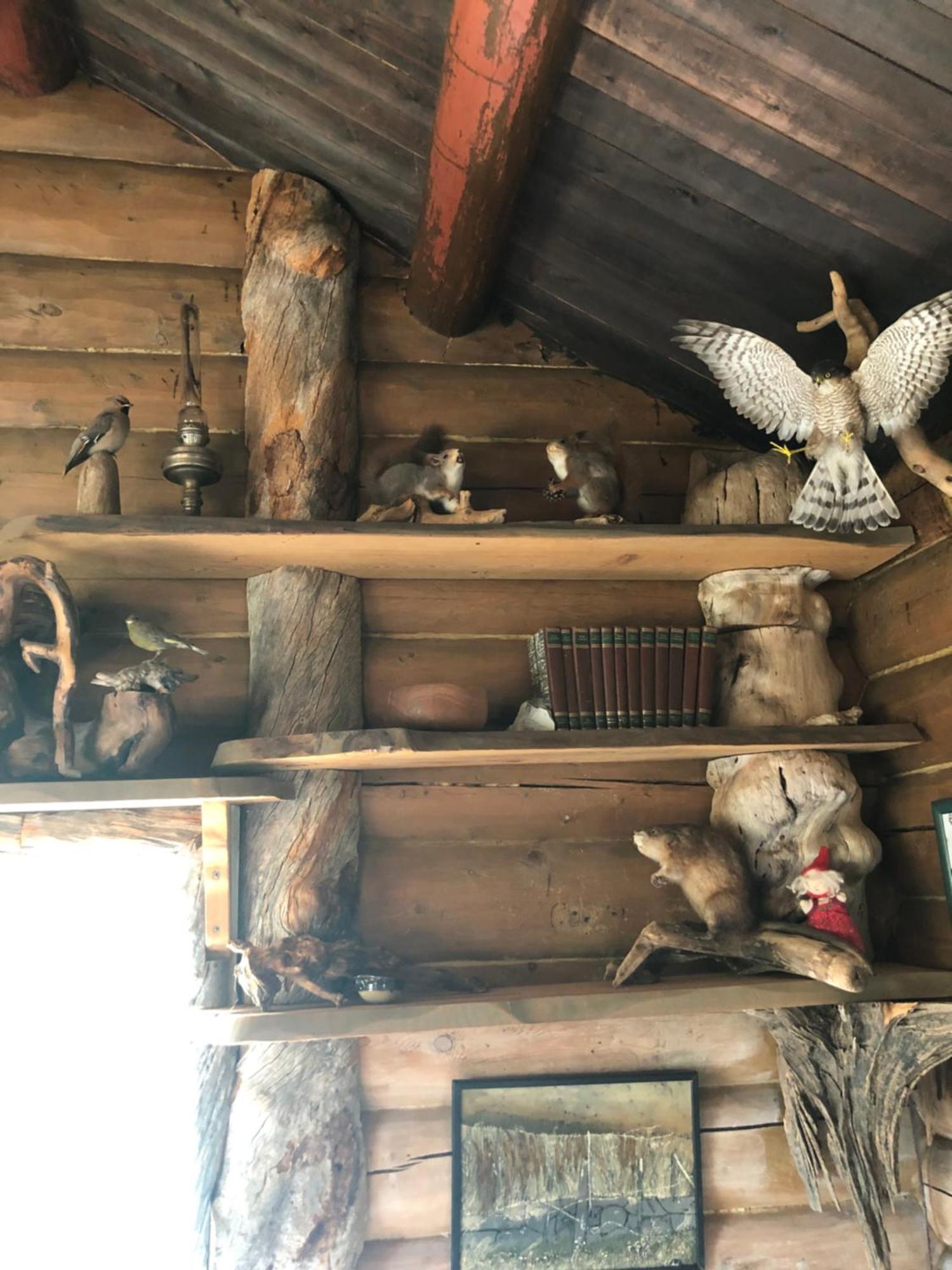 Pasvik Taiga Hotel Skogfoss Kültér fotó